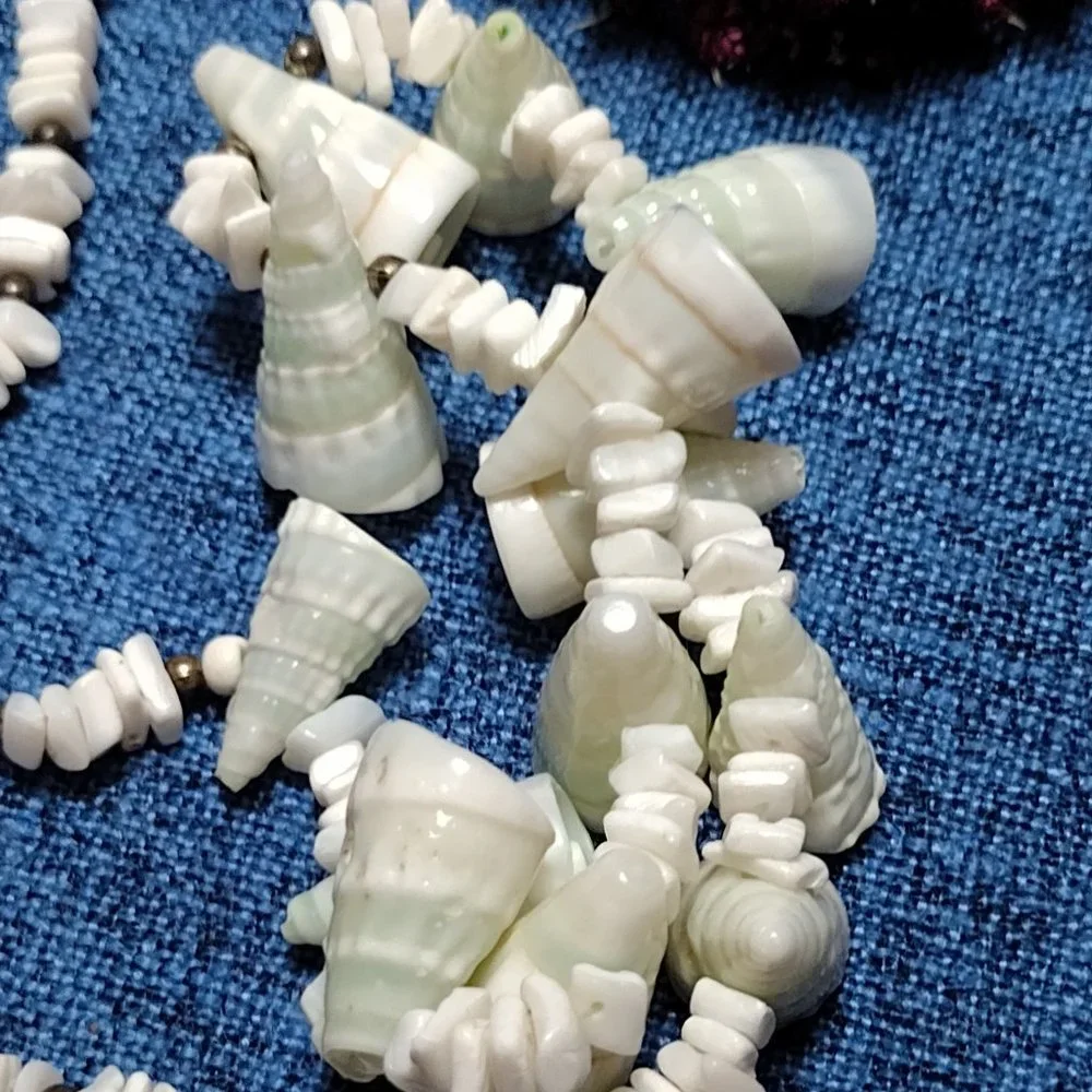 Shell Necklace - Picture 5 of 5